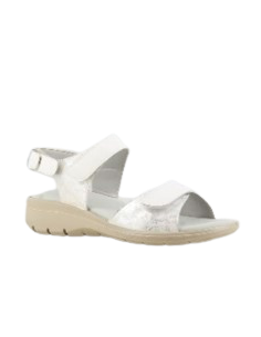 CHUT PETUNIA ADVENCE