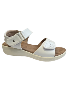 CHUT HIRONDELLE ADVENCE