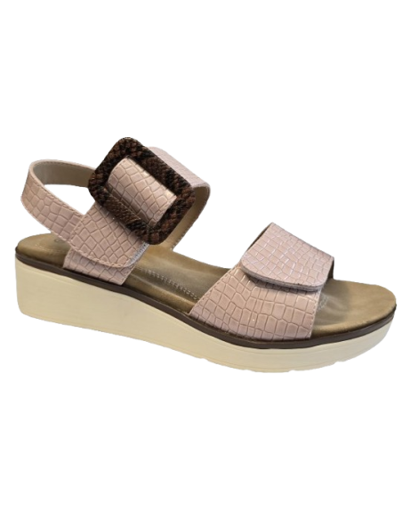 CHUT COQUELOCOT ADVENCE