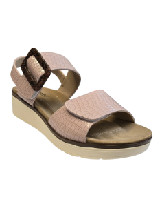 CHUT COQUELOCOT ADVENCE 2