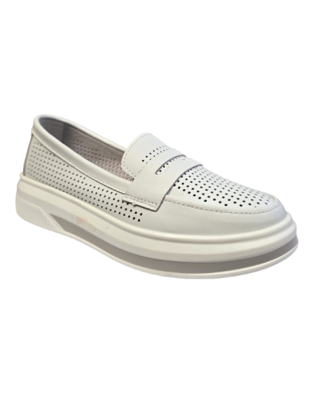 CHUT NOISETTE ADVENCE CHUT NOISETTE ADVENCE